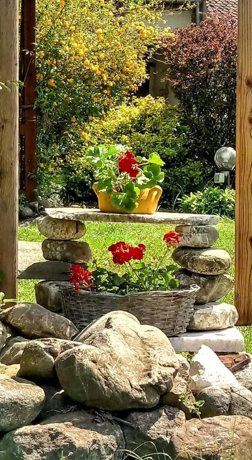 Villa Casa Din Coltul Cetatii à Hărman Extérieur photo
